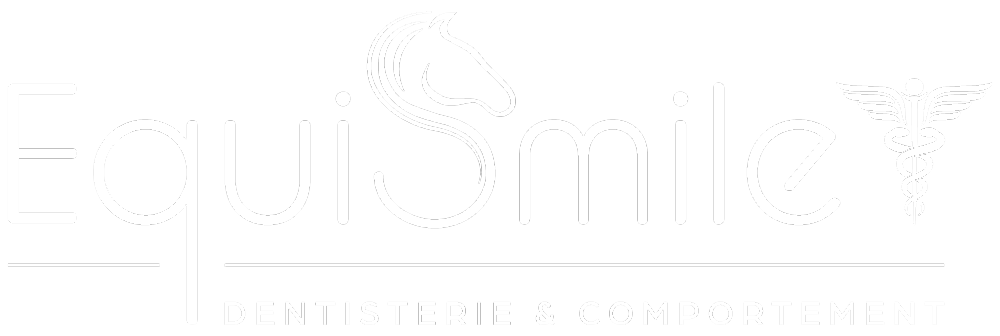 EquiSmile - services vétérinaires équins en dentisterie et en suivis comportementaux pour vos chevaux