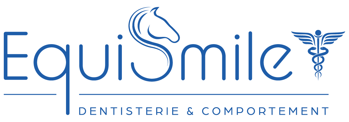EquiSmile - Dentisterie et comportement pour vos chevaux